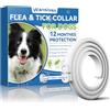 Wansiven Collari Antipulci per Cani, Collare Antipulci Regolabili da 63,5 cm per Cani, Collari Antipulci e Zecche Impermeabili per Cani, Protezione 12 Mesi (Viola-1p)