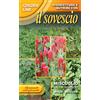FRANCHI SEMENTI SEMENTI DI PIANTE DESTINATE AL SOVESCIO IN CONFEZIONE DA 100 GR (MISCUGLIO DI SOVESCIO)