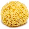 Farmacare Spugna Naturale di Mare 8/9 cm con fori larghi