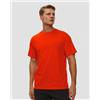 Arcteryx T-shirt Da Uomo Arcteryx Kragg Sl Cotton Bird Word Ss