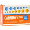 ALFASIGMA SpA Carnidyn Plus 20 Bustine Da 5 G Gusto Arancia (no limiti acquisto)