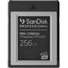 SanDisk PRO-CINEMA 256 GB CFexpress SDPCVN4-256G-GNANN