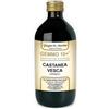 Dr. Giorgini CASTAGNO LIQUIDO ANALCOLICO GEMMO 10+ 500 ML