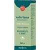 ERBA VITA GROUP SpA Valeriana Tintura Idroalcolica Erba Vita 50ml