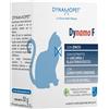 dynamopet Dynamo F Gatti 20 Bustine Da 2,5 G