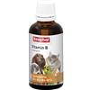 BEAPHAR - Complesso di vitamina B Per cani, gatti, roditori, uccelli - Trattamento vitaminico B1, B2, B6, B12 - Supporta le difese immunitarie - Stimola l'appetito - Aumenta il benessere - 50 ml