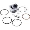 Cancanle 39mm Pistone con Spinotto e Fasce Elastiche per Honda GX35 GX35NT HHT35S UMK35 Decespugliatore Motore a Benzina a 4 Tempi Benzina