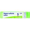 Hepar sulfuris calc*5ch 80gr bo - - 048287419