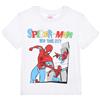 Spiderman Marvel Spider-Man - T-Shirt in cotone bambino