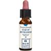 ERBA VITA GROUP SPA STAR OF BETHLEHEM 10ML GTT