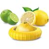 Pedrini Contenitore alimenti Salva limoni