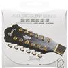 Ibanez IACS12C Corde