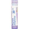 Magnesia phospho*30ch 80gr bo - - 046936682