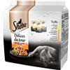 Sheba Delice Du Jour Selezione Delicata 15x50g
