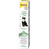GIMBORN ITALIA Srl Div. Veter. Gim Cat Gastro Intestinal Paste - Snack per Gatti 50g, Supporto per la Salute Digestiva