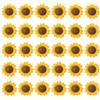 Rebanky 30 Pezzi Calamite Frigorifero Fiori Magneti Frigo Girasole Magneti Frigo Fiori 3D Simpatiche Calamite Girasole Decorative per Frigorifero, Lavagna, Ufficio, Foto, Bacheca, Armadietto