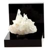 A Bijoux Pietre E Minerali. Quarzo Ialino. 99.1 Ct. Freney D'Oisans, Bourg D'Oisans, F