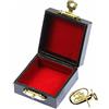 Miniblings Tubabrosche spilla Tuba pin pulsante d'oro strumento tuba + Box Miniblings