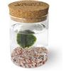 KAKI La Felicità è Nelle Piccole Cose Marimo Singolo Originale Vaso Vetro con Tappo Sughero Felicità, Artigianale, Fondale Rosa, Diametro 8cm, Altezza 11cm, Made in Italy
