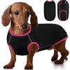Hjyokuso Maglione Per Cane Bassotto, Maglioncino Taglia Piccola, Felpa, Maglietta, Vestiti, Gilet Per Cani