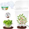 SMUJU 【12 pezzi】6 collari anti-lumaca con 6 sacchetti anti-insetti, 99% più protezione contro le lumache, anelli anti-lumaca, per la protezione delle vostre piante da insalata, protegge le piante dal