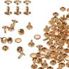 QUARKZMAN 60 Set Rivetti in Pelle Doppia Cappuccio, 8x8mm Tondo Rivetto Tubolari a Vite per Cuoio Chicago Metallo per Pelle Cintura Tessuto Collare Borsa Riparazione Decorazione, Oro Chiaro