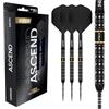 RED DRAGON Darts - Serie Ascend - 24 g parallelo barile in acciaio - Freccette in metallo - Freccette professionali al 90% tungsteno - Nitro Flite - Volo/pozzo integrato, voli e fusti