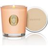 M&SENSE Candele Profumate alla Soia 290g Neroli | Bruciatura Lunga 55 Ore | Vetro Non Tossico | Aromaterapia Rilassante | Regalo di Lusso per Compleanno/Festa della Mamma