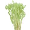 QUARKZMAN 120pz Coda di Coniglio Naturale Fiori Secchi 43cm Mini Erba di Pampa per Decorazioni Floreali Matrimonio Natale, Giallo Verde