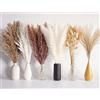 Bannifll 110 PCS Bouquet di Pampas Grass Essiccato, Decorazione da Tavolo Boho, Fiori Essiccati di Bunny Tails, Pompas Marroni, Pampas Grass Bianche per Matrimoni, Feste Rustiche, Decorazioni per Baby Shower