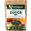 Amoseeds Semi di Zucca BIO 1kg | Cucurbita pepo di Europea | Non Tostati, Senza Sale