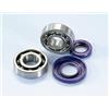 POLINI 282.0006 KIT CUSCINETTI ALBERO MOTORE POLINI APE VESPA 50/125 SPECIAL ET3 PK XL CONO 20