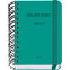 Dohe - Agenda scolastica 2025 2026 - Giorno pagina, formato A6 (12 x 17 cm), spagnolo e inglese, chiusura a doppia spirale e gomma, copertina rigida, 4 pagine di adesivi - COLOUR VIBES Verde