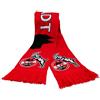 1. FC Köln 'sciarpa Dom Città. FC Köln