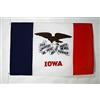 AZ FLAG BANDIERA IOWA 150x90cm - BANDIERA STATO AMERICANO - USA - STATI UNITI 90 x 150 cm - AZ FLAG