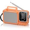 Padwa Lifestyle Radio AM/FM Portatili, Radiolina Piccola con 2400mAh Ricaricabile Batteria/Supporta Batterie Sostituibili (AA), Mini Radiolina con Funzionalità Bluetooth/Luce per La Lettura/TF