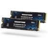 Gigastone SSD 500 GB (confezione da 2) M.2 NAS SSD 24/7 Cache ad alta resistenza per archiviazione collegata alla rete Business Data Center Personal Cloud PCIe 3.0 NVMe NAS Unità a stato solido