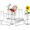 Ledebouk 12 Vasi in Vetro Piccoli per Decorazione Tavola, 175ml | Set di 12 mini vasi, versatili, design minimalista, per matrimoni, feste, compleanni, Natale, centrotavola eleganti