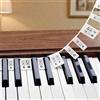 XRVRILE Riutilizzabili Guida in Silicone, Adesivi Note Pianoforte per Principianti, Adesivi Rimovibili Persticker Tastiera Pianoforte per Tutte le Tastiere da 88/61/54/49/37 Tasti