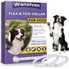 Wansiven Collari Antipulci per Cani, Collare Antipulci Regolabili da 63,5 cm per Cani, Collari Antipulci e Zecche Impermeabili per Cani, Protezione 12 Mesi (Viola-2pack)