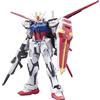 BANDAI SPIRITS Bandai Gunpla RG 03 - Ala SYTRIKE Gundam - Real Grade Plastic Kit 1/144 - Kit di montaggio in plastica Gundam Seed