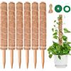SPROUTMAVEN Totem di Cocco, SproutMaven Bastone per Piante da 6 x 41cm Allungabili, Bastoncino di Totem Palo Supporto Piante Rampicanti da Interni ed Esterni, Liane per Crescere Verso L'alto