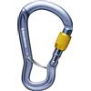 Black Diamond BD Black Diamond Gridlock Screwgate Carabiner moschettone a ghiera arrampicata