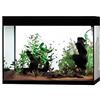Askoll Aa350074 Acquario Pure High Cube LED, XXL, Nero