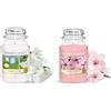 Yankee Candle Candela profumata | Giara grande Clean Cotton | Candele a lunga combustione & Candela profumata in giara grande | Fiore di ciliegio | Durata Fino a 150 Ore