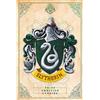 ABYstyle - Harry Potter poster, Slytherin, 91.5 x 61 cm
