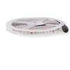 M LEDME Striscia Led Purple 12V 70W SMD 5050 5 metri IP20 Viola M LEDME