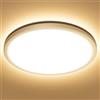 Lepro Plafoniera LED Soffitto 24W, Lampada da Soffitto Bianco Caldo 3000K 2400LM, Plafoniera Bagno Impermeabile IP44, Lampadario Soffitto per Cucina Soggiorno Sala Balcone Camera da Letto, Ø29.3CM