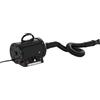 PawHut Outsunny - Soffiatore Phon Asciugatrice Riscaldatore per Cani / Gatti 2400W - TEMPERATURA E Velocità regolabili - Porpora