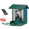 PawHut Mangiatoia per uccelli con telecamera intelligente 2K, scocca in acciaio anti-scoiattolo e pannello solare, 30x34,5x26,3 cm, verde | Aosom Italy